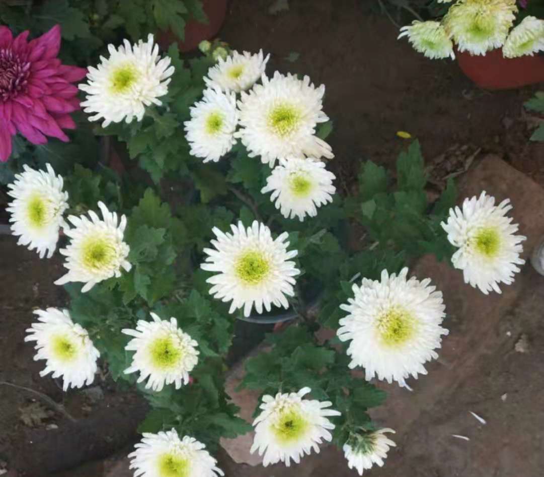 1540273631399430.jpg