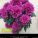 紫芙蓉