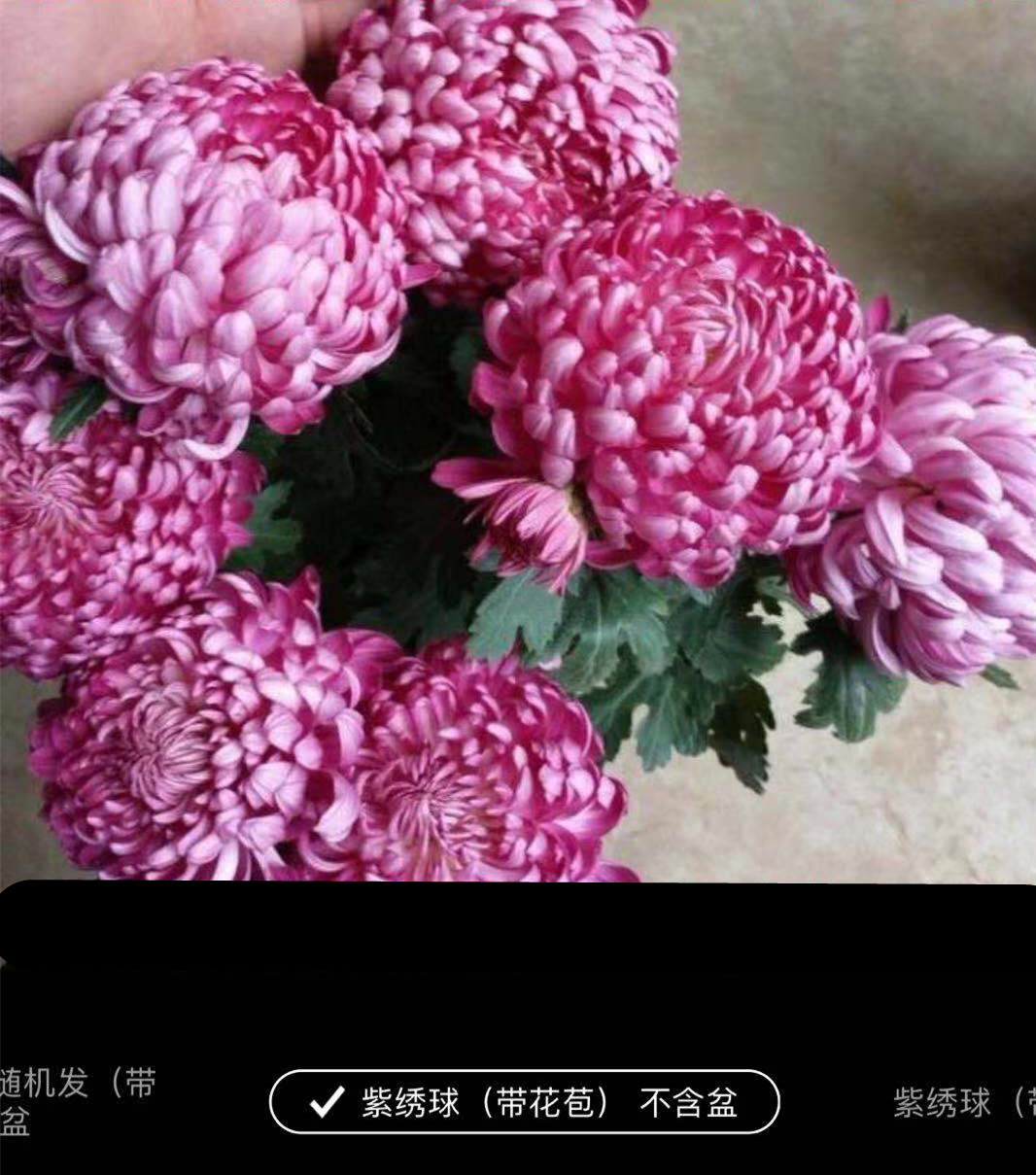 1540643041813464.jpg