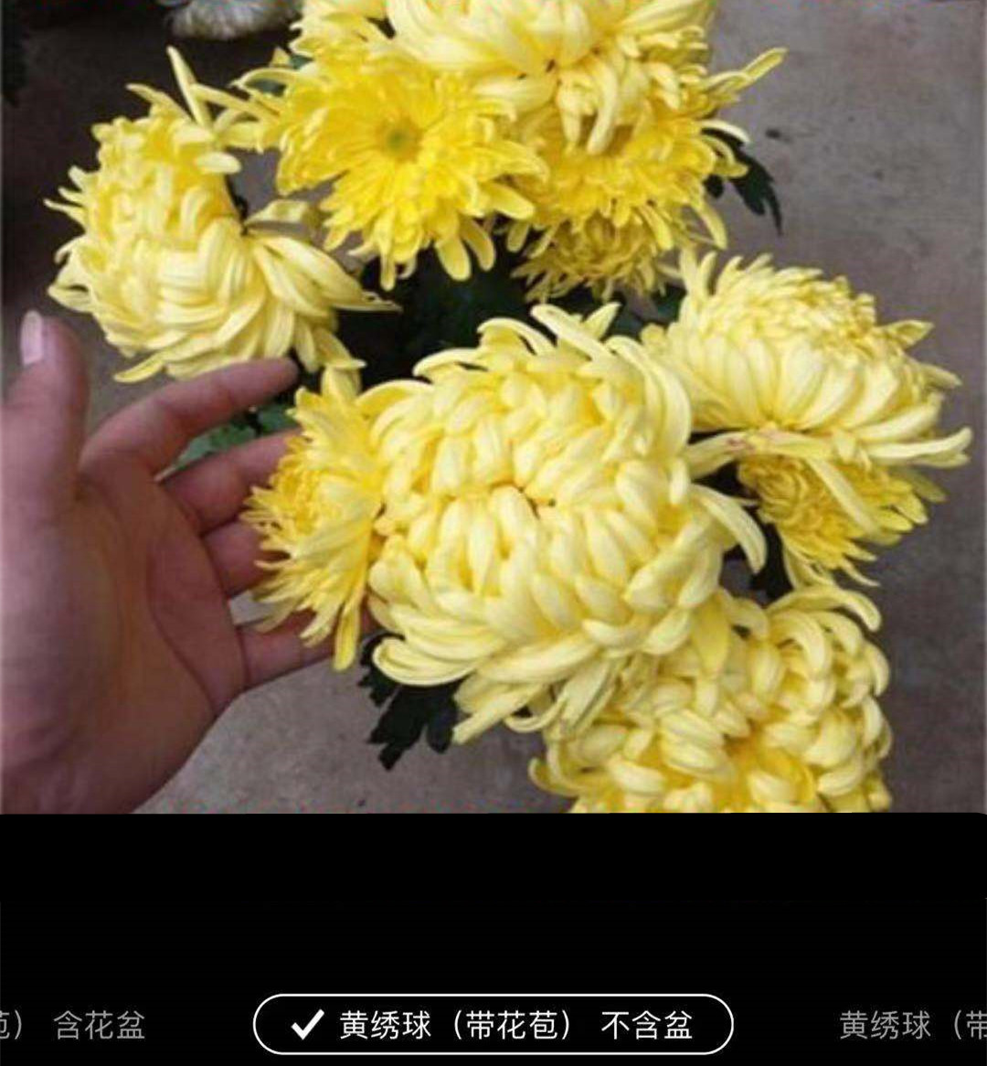 1540643042970468.jpg